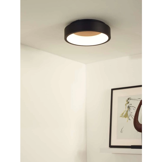 Plafon TALOWE Ø 30 cm LED Dim. 1x20W 3000K czarny 46100/20/30 Lucide - zdjęcie dodatkowe 2